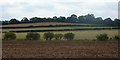 Fields west of Swinston Hill Wood