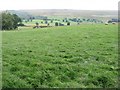 The valley of the Machany Water