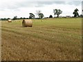 Stubble field at Culticheldoch