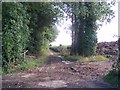 Bridleway Near Amberfield House