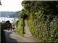 Footpath on Riverside Road