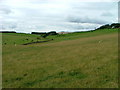 Grazing land at Newton of Balcanquhal