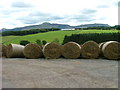 Straw bales at West Newton of Balcanquhal