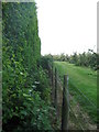 Footpath to Bekesbourne Lane