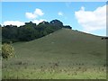 North Downs Near Thurnham