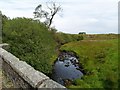 Barlay Burn from the bridge