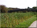 Reed Bridge