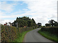 Lane near Holly Farm