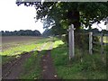 Footpath Junction Near Etchinghill