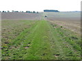 Bridleway to Adisham