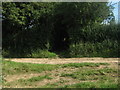 Bridleway crosses a byway  near Woodlands Manor