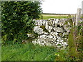 Stane Wall at Barwhirran