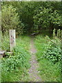 Footpath near Livingstone Road