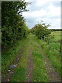 Footpath between Livingstone Road and Whinney Hill Road