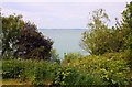 SZ3689 : View through the trees at Bouldnor by Steve Daniels