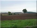 Ploughed field near Turkey Farm