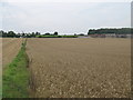 Bridleway to Old Court Cottages