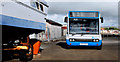 D4202 : Bus, Ballylumford (1) by Albert Bridge