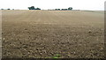 Ploughed field on Chapman