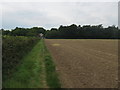 North Downs Way towards Dyson Hall Wood