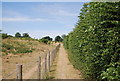 Footpath between Leybourne and the by-pass