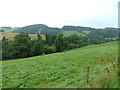 Grazing land west of Glenfarg