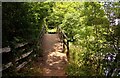 Footbridge on the Thames Path