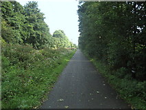 SD4864 : Cycle Route in Riverside Park by Chris Heaton