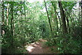 Footpath to Stoney Bottom