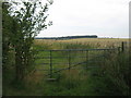 Bridle gate near Upper Digges Farm