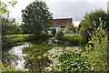 Alton Watermill - The Millpond