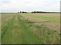 Bridleway junction on the North Downs Way on Barham Downs