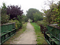 Sneinton: Meadow Lane railway bridge