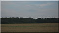 View of Water Tower in Woodlands Wood