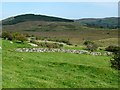 L9575 : Grazing land near Carrowkennedy, looking east by Keith Salvesen