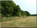 Stone wall and ruin