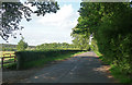 Country road near Graffham (3)