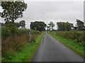 Country lane near Rigg