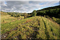 The trackbed of the former Waverley Railway Line