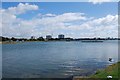 Haslar Lake at high tide (2)