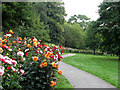 Nottingham Arboretum: the dahlia border