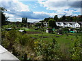 Allotments in Rye