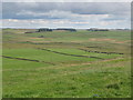 Farmland north of Morwood