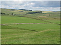 Farmland between Morwood and East Crindledykes