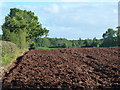 Ploughed field near Rhewl Cottage, Mynydd-bach