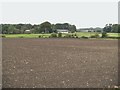 Looking over cultivated field towards Mains of Machermore