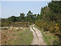 Track running parallel to Beaconsfield Road