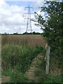 Footbridge And Pylons