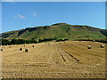 Straw bales at Upper Urquart