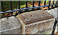 Park railings, Lisburn